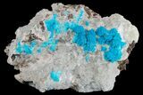 Vibrant Blue Cavansite Clusters on Stilbite & Mordenite - India #176800-1